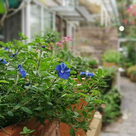 Shenzhen No'6 Garden Villa --French Window With Garden View,Close To Sea World &Shekou Ferry Port &K11 Ecoast &Subway Nearby ,Offer Western Food And Coffee &English Speaking With Tour Services Exterior foto