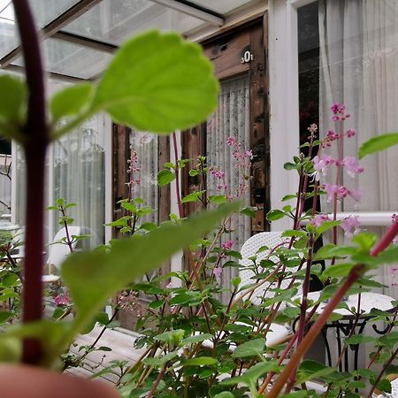 Shenzhen No'6 Garden Villa --French Window With Garden View,Close To Sea World &Shekou Ferry Port &K11 Ecoast &Subway Nearby ,Offer Western Food And Coffee &English Speaking With Tour Services Exterior foto