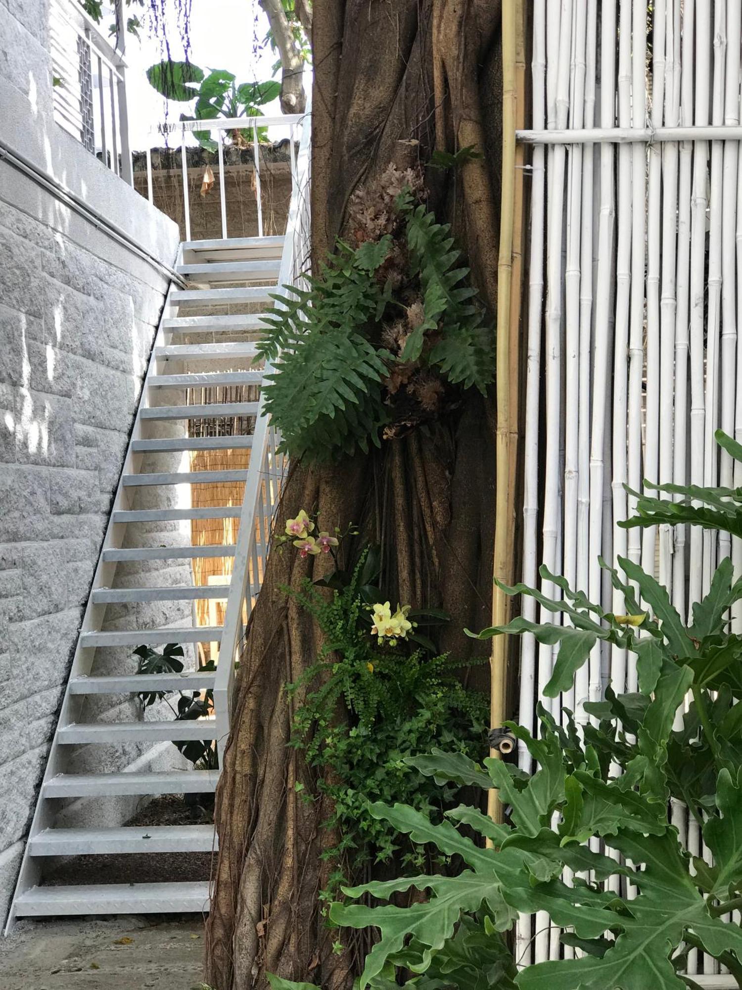Shenzhen No'6 Garden Villa --French Window With Garden View,Close To Sea World &Shekou Ferry Port &K11 Ecoast &Subway Nearby ,Offer Western Food And Coffee &English Speaking With Tour Services Exterior foto